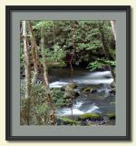 From Bluff Above Middle Prong-Tremont Area-framed.jpg