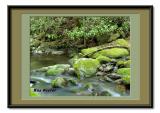 Roaring Fork.jpg