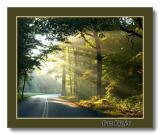 Sunrise on Road Early Autumn