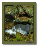 Bits of Autumn in a Stream