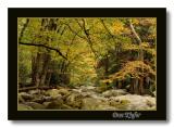 Dry Streambed