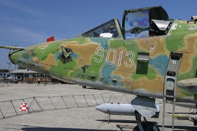 Sukhoi Su-25K Frogfoot wearing a frog colour scheme