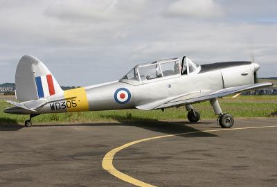 Chipmunk4.jpg