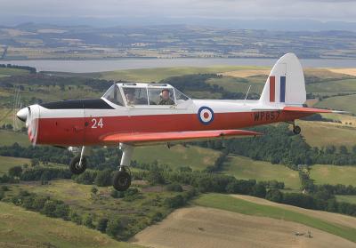 Chipmunk5.jpg