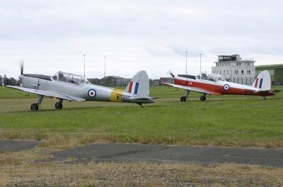 Chipmunk7.jpg
