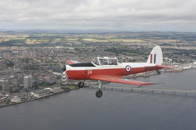 Chipmunk8.jpg