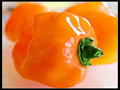 HABANERO PEPPER
