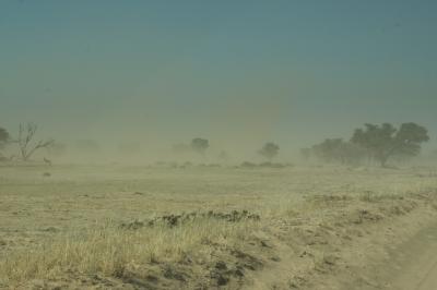 Desert dust storm