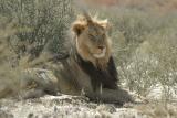 Kgalagadi Transfrontier Park - September 2005