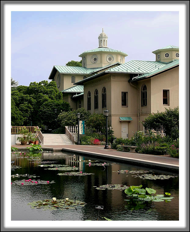 Botanic Garden on a Hazy June Day