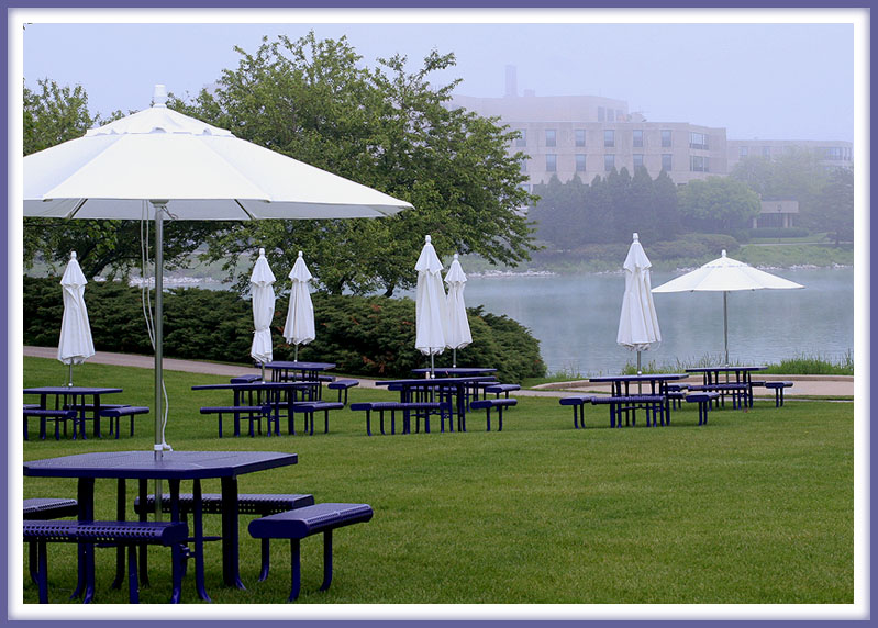 Good Morning Northwestern University