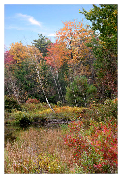 A Cool Poconos Fall Scene