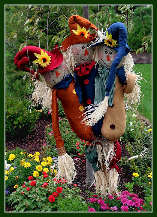 A Fall Garden in Suffolk County Long Island