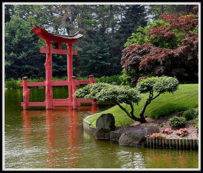 A Japanese Garden of Peace in Brooklyn, NY