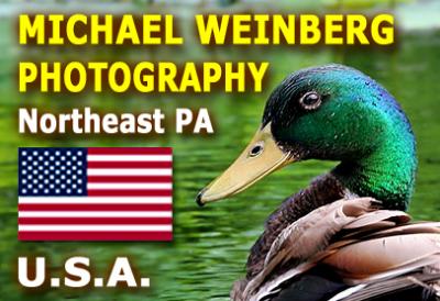 MICHAEL WEINBERG PHOTOGRAPHY