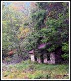 IMG_8149S.jpg