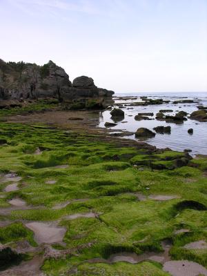 Middle Beach low tide 5