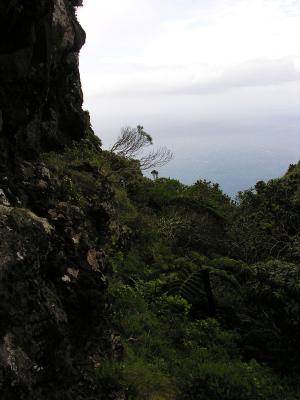 Mt Lidgbird - East from Goathouse Cave