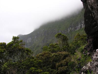 Mt Lidgbird - Sth from Goathouse Cave 1