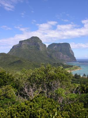 Mt Lidgbird and Mt Gower from Transit Hill