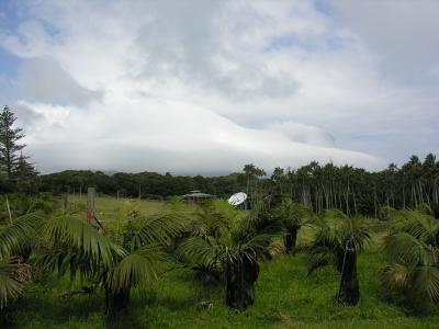 Mt Lidgbird and Mt Gower in cloud