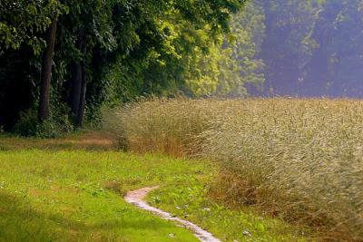 Solitude