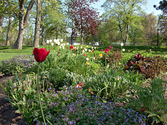 Halifax Public Gardens.