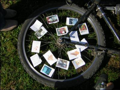 Roue arrière.