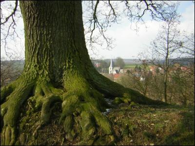 Sur les hauteurs de Ronquières.