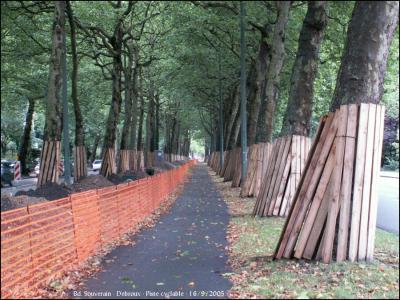 C'est sans doute la plus belle avenue cyclable de Bruxelles... (16/9/2005)