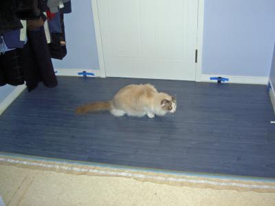 Supervisor checking on fit and finish
