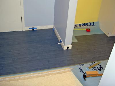 Home Renovations  Kitchen and Hall