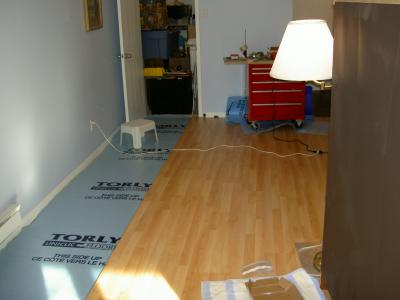 Home Renovations Livingroom