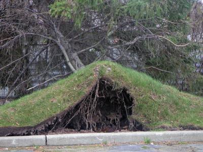 WINDSTORM 03