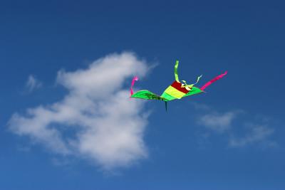 CRW_7700.jpg