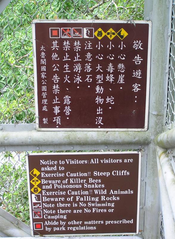 Beware of killer bees!