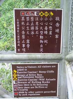 Beware of killer bees!