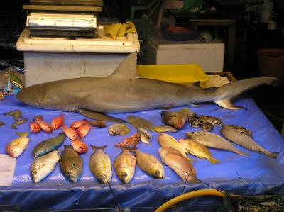 Jaws - Hualien Fish Market