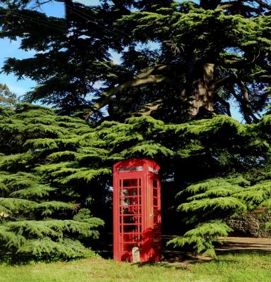 v3/42/585842/3/48640951.composite_phonebox_001.jpg