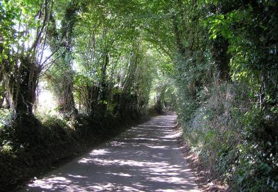 A Chiltern Lane