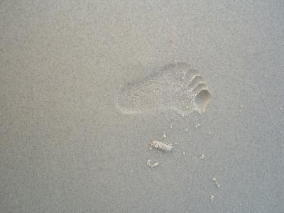 v3/42/586242/3/47626742.footprint.jpg