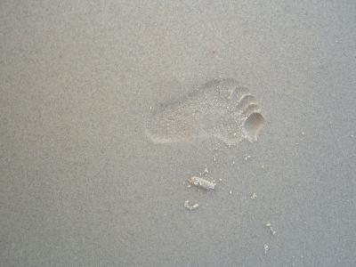 foot print.JPG