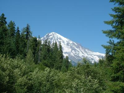 Mt. Rainier 7.JPG