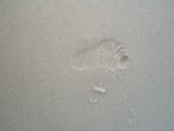 foot print.JPG