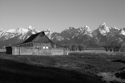 IMG_0476fixbw800.jpg