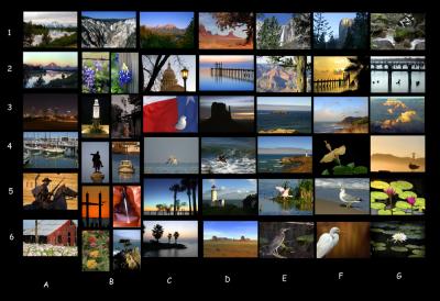 Collection313x19Numbered1000.jpg
