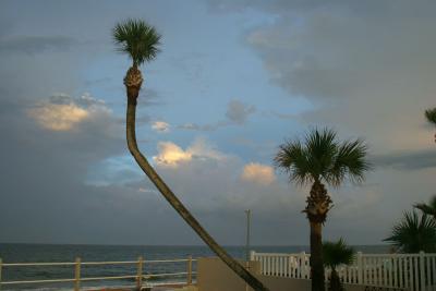 IMG_1725fix800.jpg