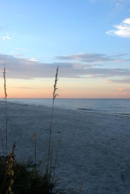 IMG_2440fix800.jpg