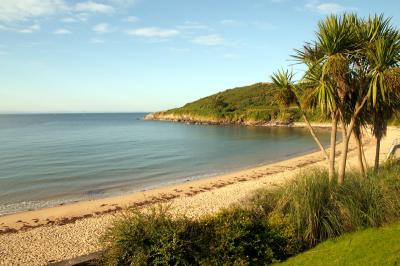 v3/43/127943/3/47315938.Langland2.jpg