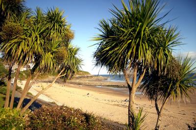 v3/43/127943/3/47680276.Langland14.jpg